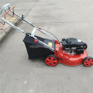 Tondeuse à gazon autotractée, désherbeuse manuelle pour vergers, machine à tondre l'herbe - Product Image 5