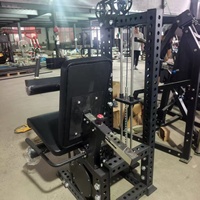 Machine d'entraînement des jambes robuste : Extension des jambes et curl des ischio-jambiers à charge de plaques professionnelle pour l'entraînement des fessiers et des quadriceps