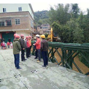 Prezzo a buon mercato a corsia singola doppio strato CB200 Bailey Truss Bridge - Product Image 6