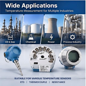 Módulo de Temperatura 644, Sensor Inteligente RTD Termopar 4-20mA HART, ABS OEM/ODM para Control de Procesos Industriales - Product Image 3