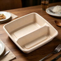 Boîte à lunch jetable en bagasse biodégradable et compostable, écologique, étanche, résistante à la graisse, avec couvercle micro-ondable pour aliments