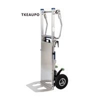 Nouveauté Chariot utilitaire pliable professionnel Chariot à main Chariot électrique Remorque à main