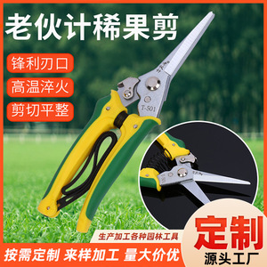 Old Friend Pruning Shears Stainless Steel 65mm Blade 10-20mm Trimming Diameter Butterfly Structure Gardening Use - Product Image 5