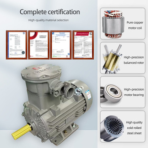 มอเตอร์ไฟฟ้ากระแสสลับแบบอะซิงโครนัสสามเฟส Innomotics 1MB0063 0.55KW~250KW ป้องกันการระเบิด 380V/660V IC411 IE3 50Hz - Product Image 5