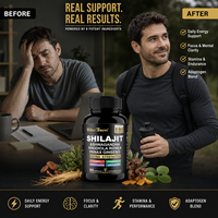 Capsules de Shilajit, Ashwagandha, Rhodiola et Ginseng pour le soutien énergétique, la vitalité, la concentration et l'endurance – Marque privée, OEM, ODM, Fournisseur d'usine