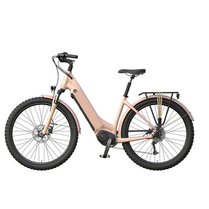 Portapacchi elettrico elettronico City Bike/moto 15Ah tubo veloce 25 Kmh sensore di velocità acceleratore pedale Velocipede - Product Image 1