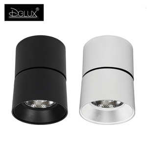 DGLUX Đèn Chiếu Điểm Có Thể Điều Chỉnh Chất Lượng Cao Đèn Chiếu Sáng <span class=keywords><strong>Led</strong></span> 10 W <span class=keywords><strong>Cob</strong></span> Nhôm Màu Đen Trắng - Product Image 1