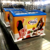 Petit congélateur de coffre de crème glacée avec le gel horizontal d'affichage en verre incurvé de magasin de porte