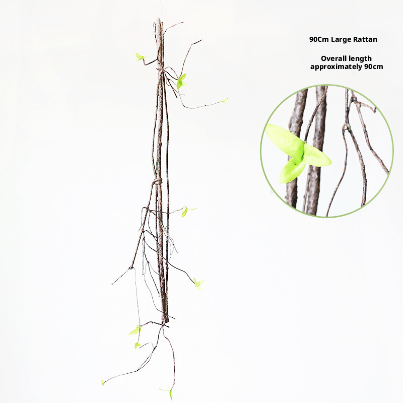 4#  90Cm large fern