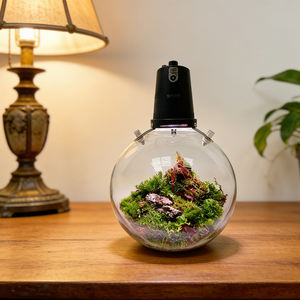 Lampe <span class=keywords><strong>de</strong></span> culture LED intelligente pour hydroponie, pot suspendu pour micro-légumes, idéal pour débutants, culture hors-sol à domicile - Product Image 5