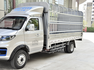 Hete Verkoop Goedkope Hek Trucks Xinyuan 4*2 Nieuwe Pure Elektrische Afrastering Truck Groene Planten, Meloenen, Fruit, Veeteelt - Product Image 5