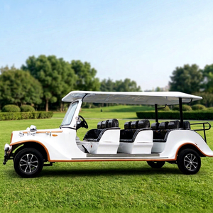 Carro Turístico Eléctrico Clásico Vintage de Alta Calidad con 8-12 Asientos y 4 Ruedas en Venta - Product Image 1