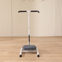 Équipement de gymnastique multifonctionnel Machine de torsion de la taille Exercice Corps Disque rotatif Machine d'amincissement de la taille Torsion et pas à pas