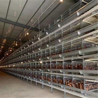 Nouvelle cage à poules entièrement automatique en acier de type H à 345678 étages avec système d'alimentation automatique, adaptée aux poules pondeuses des fermes avicoles