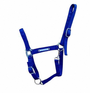 High Quality Leather Horse <b>Halter</b> Designed for Durability Comfort Secure Handling Customized Color India Supplier in bulk quanti - Product Image 2