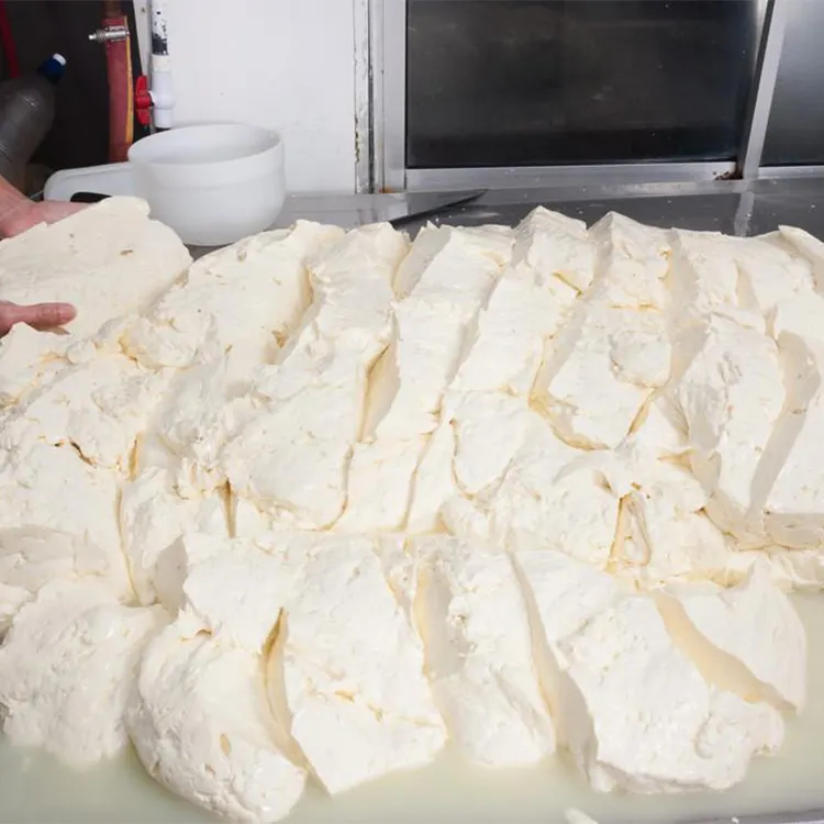 Kleine automatische Mozzarella-Käse-Bottich-Käse-Produktions linie