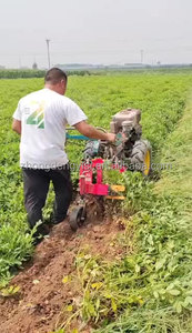Venta al por mayor de maquinaria agrícola: Mini cosechadora de ajo y cacahuete de 8-15HP con tractor de arrastre y suspensión, fabricada en China - Product Image 5