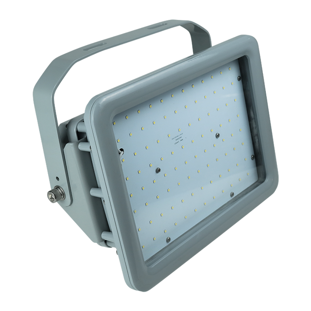 20W 40W 60W 80W 100W 150W 180W 200W 250W 300W 400W LED Explosion Proof Lighting Professional Explosion Proof Lamps a Series
