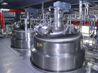 Poudre de Bifidobacterium Infantis 100 milliards UFC/g, Fermentation Contrôlée, Ingrédient en Vrac 1kg avec Technologie Lyophilisée