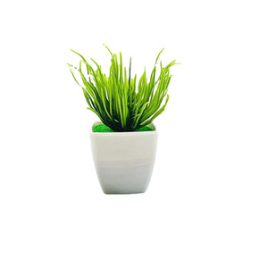 Plantes succulentes artificielles Qi Xing en pot carré de 10 cm, décoration intérieure en plastique, verdure - Product Image 5