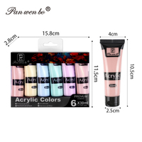 Ensemble de peinture acrylique professionnelle Panwenbo, tubes souples non toxiques, 6 couleurs macaron, 30 ml, ensemble de peinture acrylique
