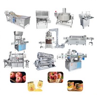 ORME Automatische Ananas- en Perzikwas-, Schil-, Kern- en Snijmachine Productielijn