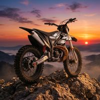 Stark Varg 25KW Volwassen Aangedreven Dirtbike Dubbele Schijfrem 110km/u Off-Road Motocross Volwassenen