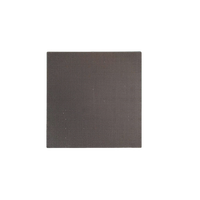 Panel LED Móvil para Alquiler en Exteriores de 250*250 mm P2.97, Módulo de Pantalla LED P2.976, Pantalla LED P2.9 para Conciertos y Eventos Comerciales
