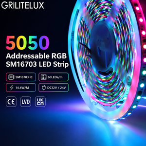 RGBIC Flexible LED Tape SM16703 SMD5050 DC24V 60 LEDs/m 10 Pixels/m 10mm PCB 14.4W/m Digital Pixel <b>Control</b> for Theme Lighting - Product Image 1