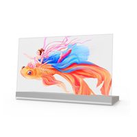Prix usine 30 pouces affichage OLED Transparent 1366*768 affiche numérique pour la publicité de magasin de détail et d'ascenseur avec fonction SDK