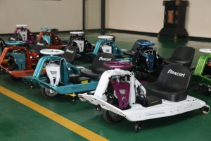 รถโกคาร์ทไฟฟ้า Flexcart 750W ระบบขับเคลื่อนเพลา สำหรับผู้ใหญ่ รองรับน้ำหนักสูงสุด 200 กก. พร้อมดิสก์เบรก - Product Image 1