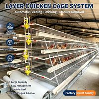 Cage à poules automatique commerciale pour élevage avicole, équipement de ferme, cage à batterie métallique pour 96/120/160 oiseaux