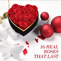 Lot de 16 roses éternelles en boîte cœur avec collier, roses rouges pour la fête des Mères, anniversaire, Noël, Saint-Valentin