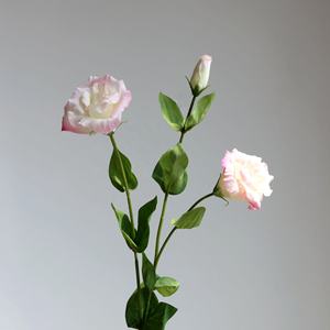 J-078 Longue Tige Blanc Rose Pivoines Artificielle Lisianthus Fleur Real Touch <span class=keywords><strong>Eustoma</strong></span> <span class=keywords><strong>Grandiflorum</strong></span> pour la Saint-Valentin - Product Image 4