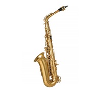 Factory Direct Sales of Professional Advanced Woodwind Instruments Saxophone