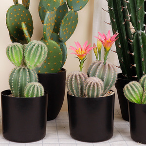 Artificial Cactus Potted Plants 10cm-30cm High Simulation Desert Succulents Indoor Desktop Decorative <b>Ornaments</b> - Product Image 5