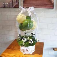 Panier de fleurs étreignant seau Bobo ballon Bouquet fête d'anniversaire saint valentin cadeau Arrangement décoration
