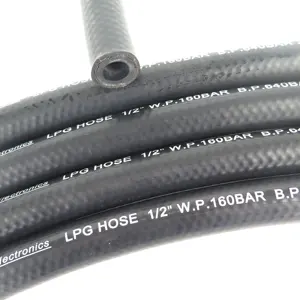 EN 1762 Chinese Factory Manufacturer Wholesale Gas Flexible Natural LPG Rubber Fuel Auto Hose