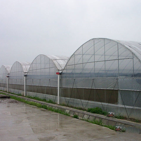 Large Greenhouse Tent Kit for Garden