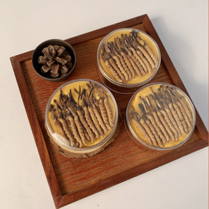 Тибетский Кордицепс Синенсис - Product Image 4