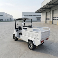 Véhicule de transport électrique agricole à basse vitesse, mini-camion de fret à 4 roues, pick-up électrique agricole pour la livraison domestique