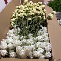 Roses artificielles en velours en gros, en vrac, rouges, blanches, bleues, roses, noires, violettes, fleurs décoratives personnalisées