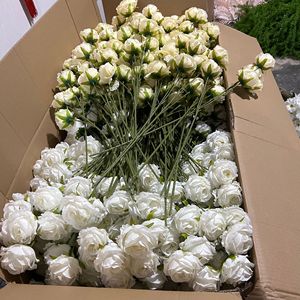 Rosas Artificiales de Terciopelo al por Mayor, en Color Rojo, Blanco, Azul, Rosa, Negro y Morado, <span class=keywords><strong>Flores</strong></span> Decorativas Personalizadas - Product Image 1