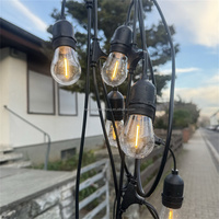 Guirlandes lumineuses LED S14 extérieures de 10 mètres (48 pieds), indice de protection IP65, résistantes à l'eau, pour l'éclairage de la cour, de Noël et des fêtes de mariage