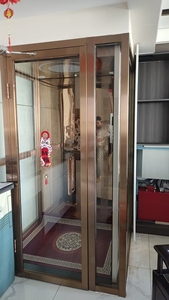 Bên ngoài/Bên trong nền tảng dọc thang máy nhà nhỏ Xe Lăn thang máy cho người khuyết tật - Product Image 4