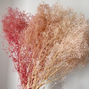 Mini Gipsofila Elegans Stabilizzata Velo di Sposa Essiccata Decorazione per Eventi per Composizioni Festa della Mamma e Natale - Product Image 3