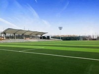 Hochleistungs-Kunstrasen 50mm Grasteppich für Fußballfelder