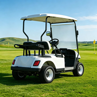 Voiturette de golf électrique 1-2 places 48V 100A 150A 200A avec batterie au lithium, sûre et stable, idéale pour les terrains de golf et les villas