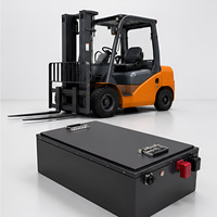 Batería de Iones de Litio LiFePO4 de 24V 100Ah para Montacargas Eléctrico, Paquete de Baterías de Ciclo Profundo, BMS Inteligente, Larga Vida Útil, Fábrica OEM