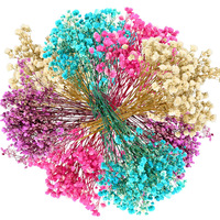 UKIQUEEN Vente en gros de fleurs de gypsophile préservées, fleurs de gypsophile éternelles pour mariage et décoration intérieure